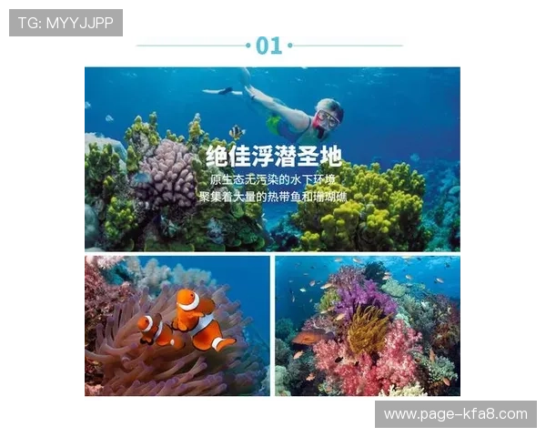 沙巴官网体育官网安全可靠的支付系统保障玩家资金安全与交易顺畅